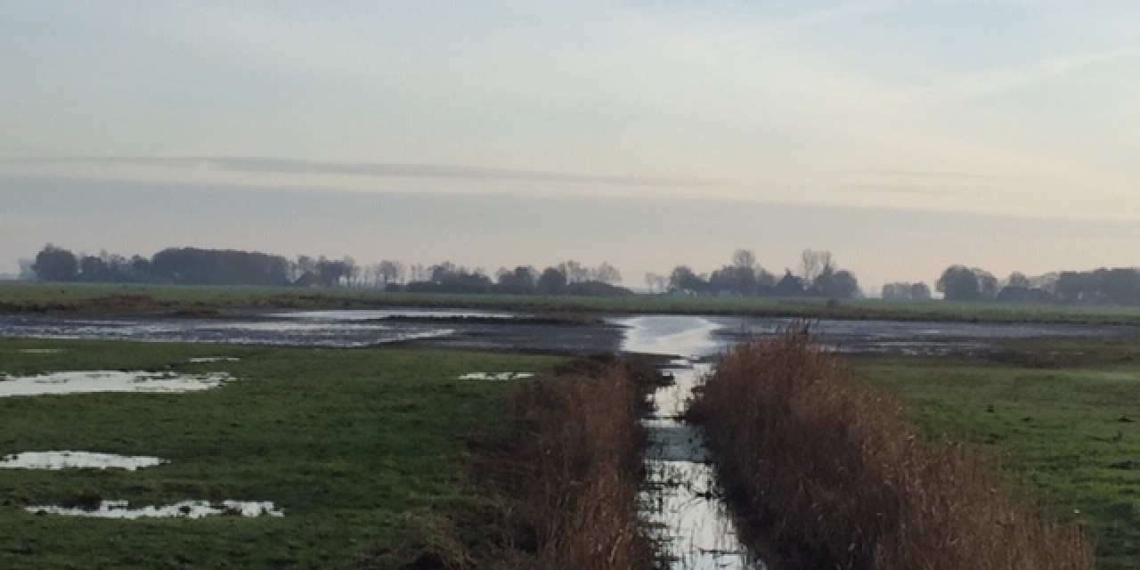 situatie voorde werkzaamheden